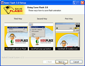 Save Flash 5