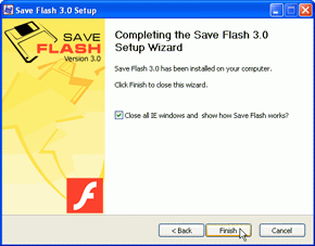 Save Flash 6