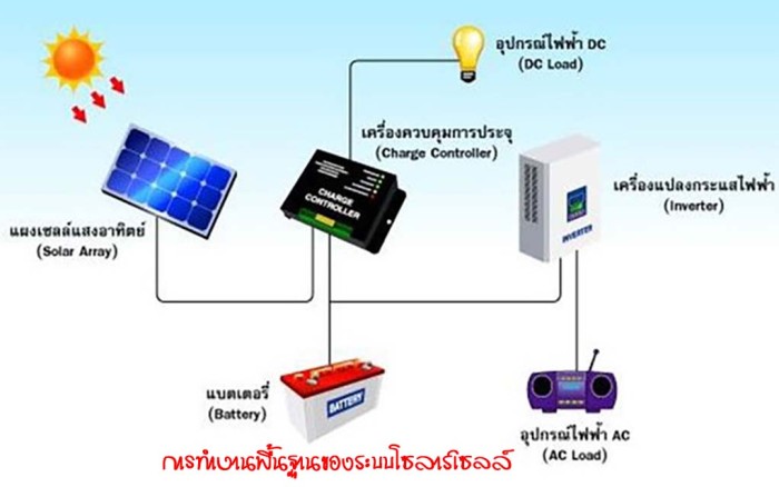 solar cell basic